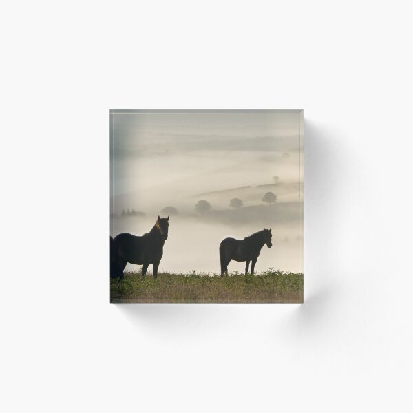 Item preview, Exmoor Ponies on Winsford Hill  designed and sold by Nick Pound.