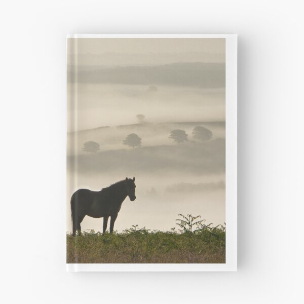 Item preview, Exmoor Ponies on Winsford Hill  designed and sold by Nick Pound.