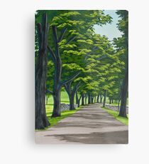 Oak Drive Metal Print