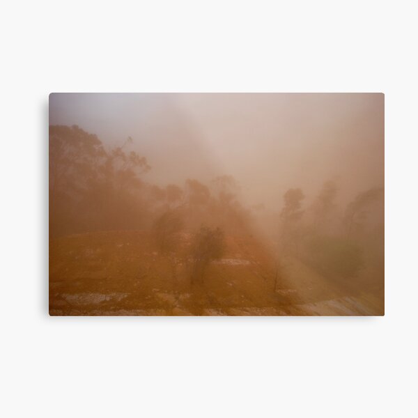 dust Metal Print