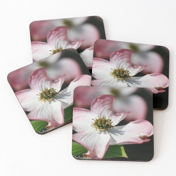 Item preview, Dogwood Day designed and sold by Bryan W. Cole.