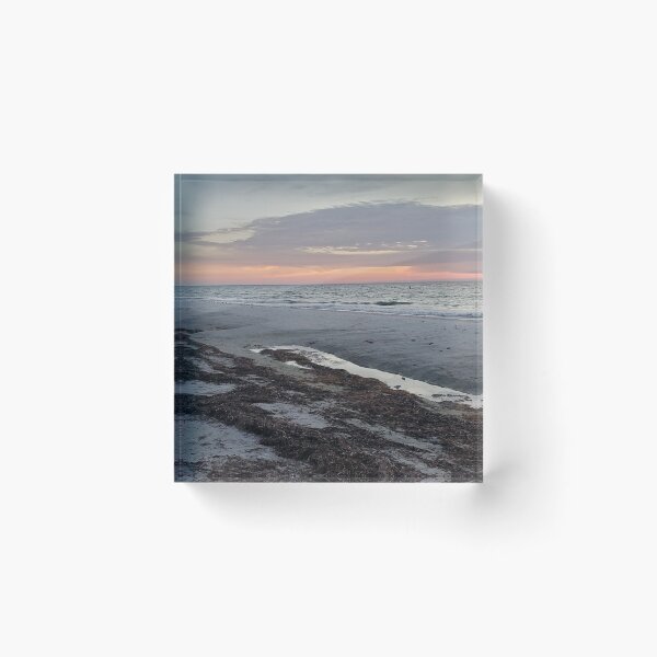 Item preview, Seaweed ashore designed and sold by Amanda Huggins.