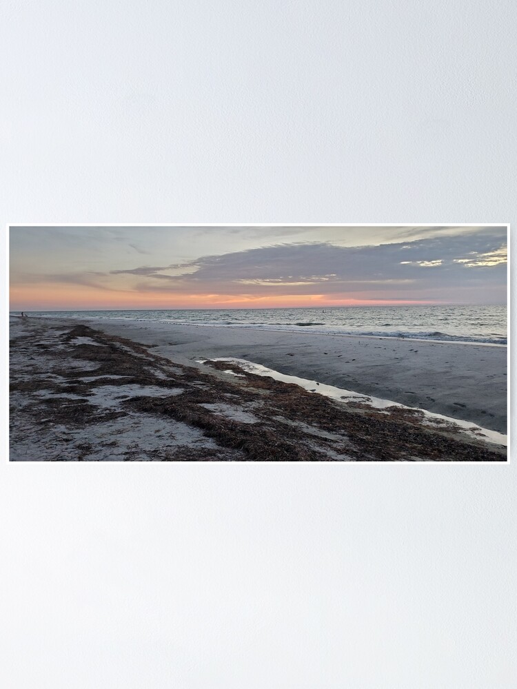 Imagen 1 de 3, Póster con la obra Seaweed ashore, diseñada y vendida por RunningBackward.