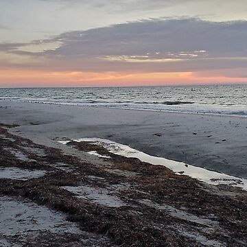Imagen de la obra Seaweed ashore de Amanda Huggins