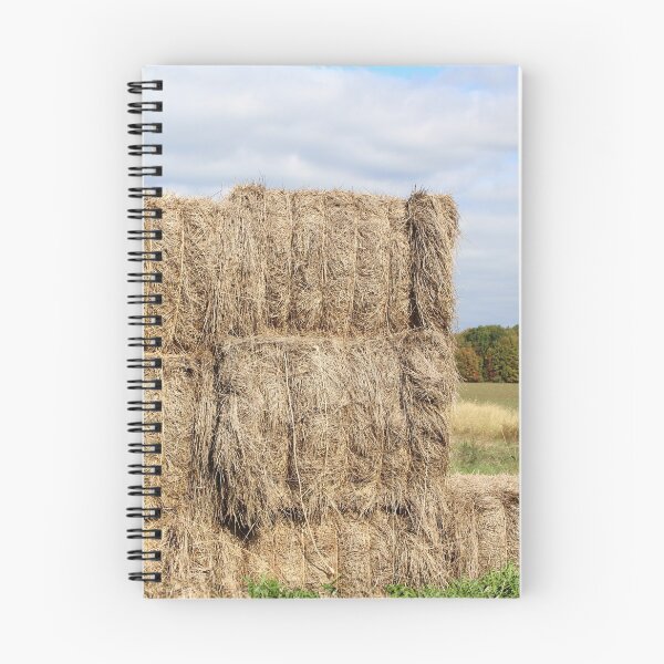 Item preview, Hay There designed and sold by Monnie Ryan.