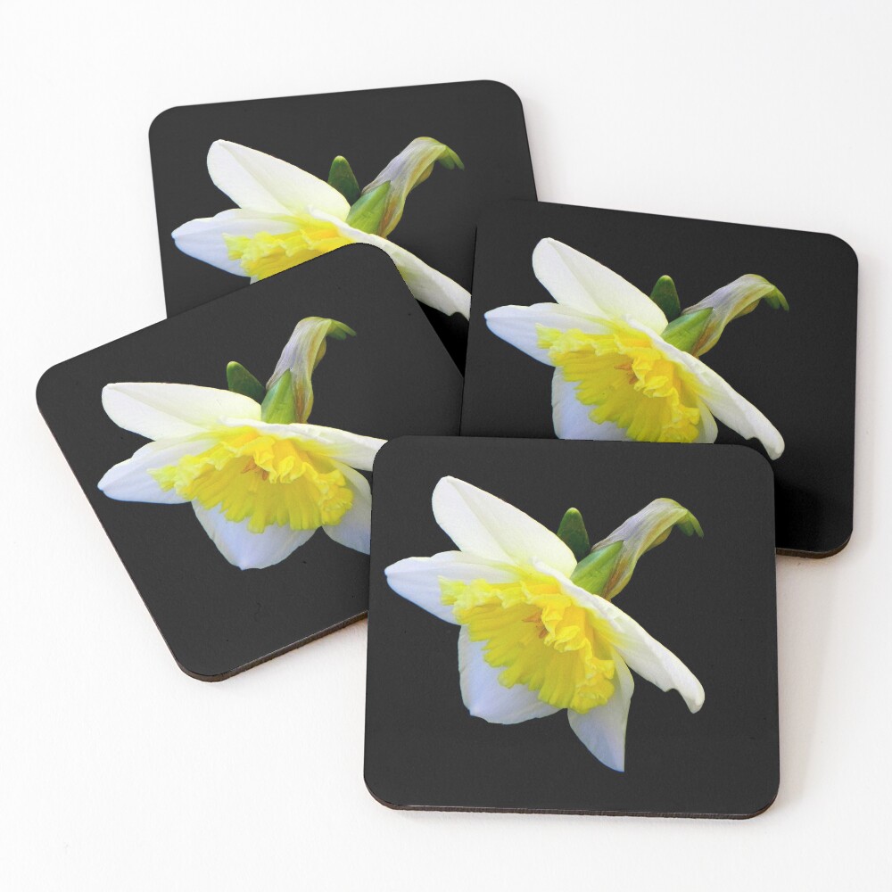 Item preview, Coasters (Set of 4) designed and sold by Eastsider.