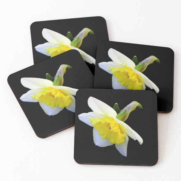 Item preview, Spring has sprung!!! © designed and sold by Dawn Frankulin.