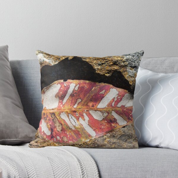 Item preview, Dying leaf on rock designed and sold by polyhymnia14.