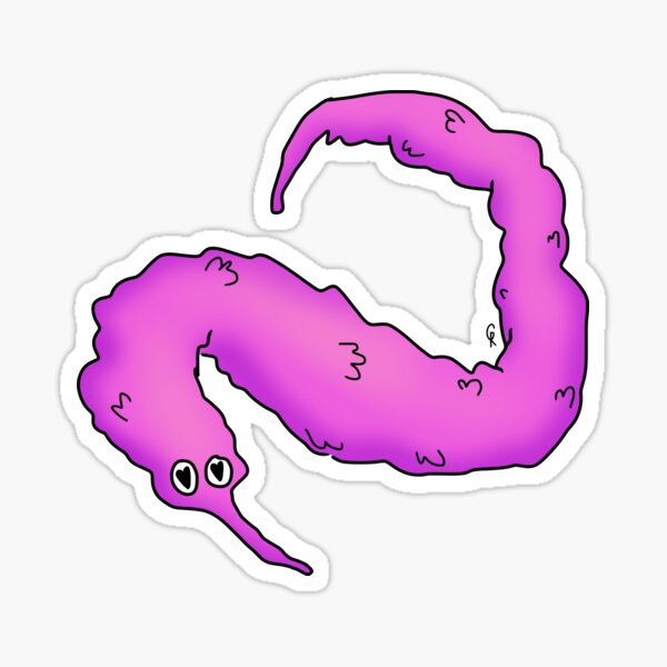 "Shoelace the Worm" Sticker for Sale by coolcatgrace Redbubble