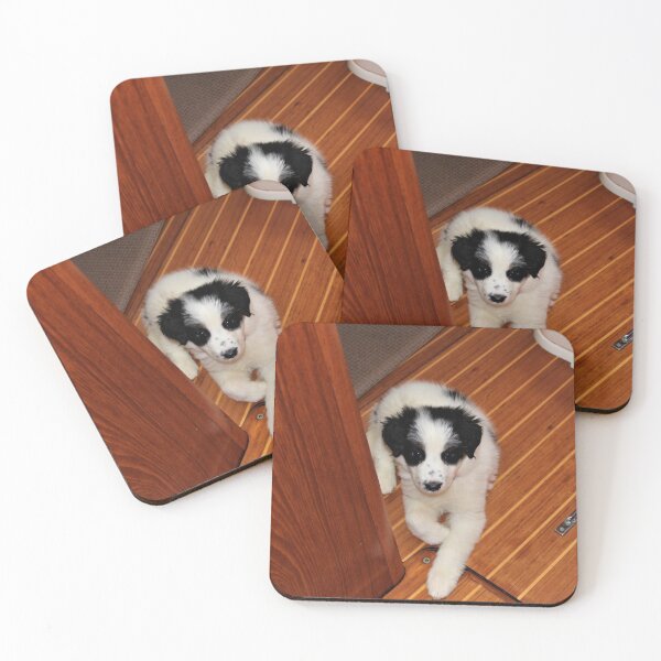 Item preview, Australian Shepherd Skipper on the Galley Floor designed and sold by banditandkoko.
