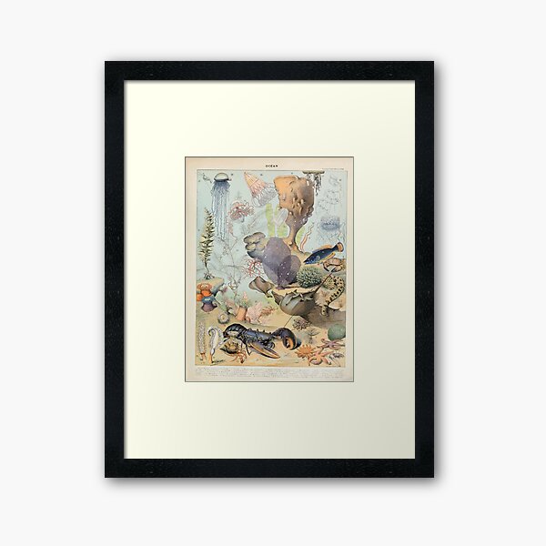 Item preview, Adolphe Millot ocean B designed and sold by wetdryvac.