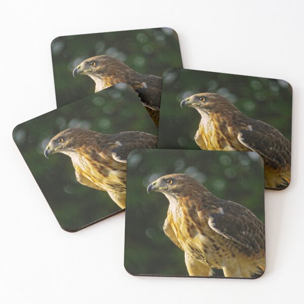 Item preview, Red-Tailed Hawk designed and sold by shutterbug2010.