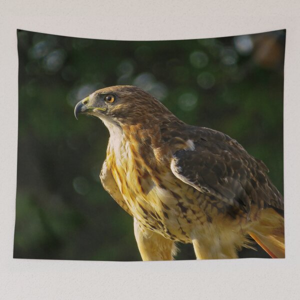 Item preview, Red-Tailed Hawk designed and sold by shutterbug2010.
