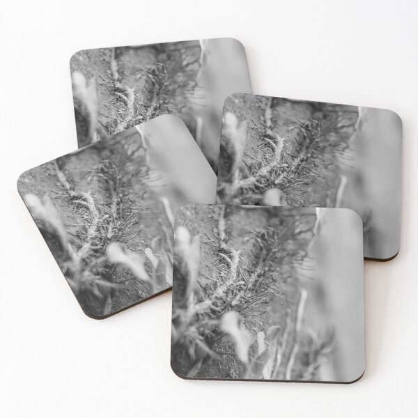 Item preview, black and white macro wall plant designed and sold by ricobarinas.