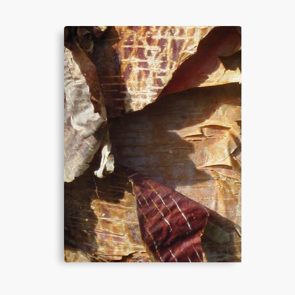 peeling bark Prayer Flags Canvas Print