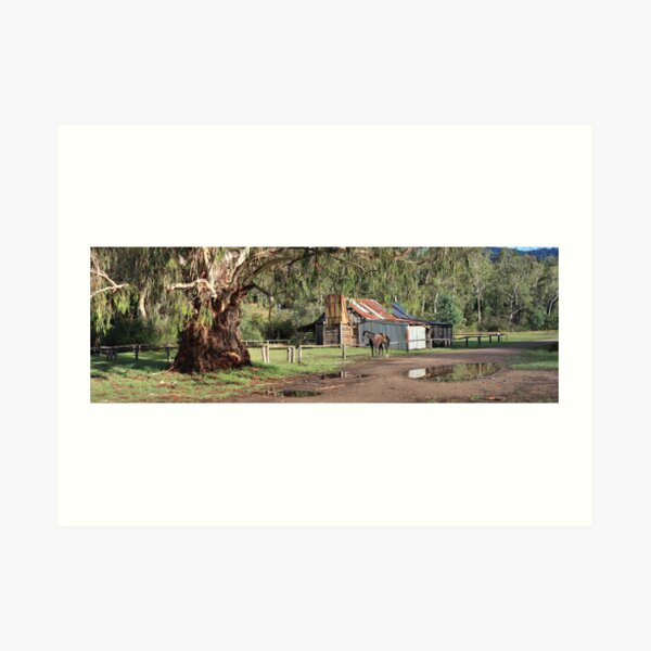 Frys Hut, Howqua Hills, Australia Art Print