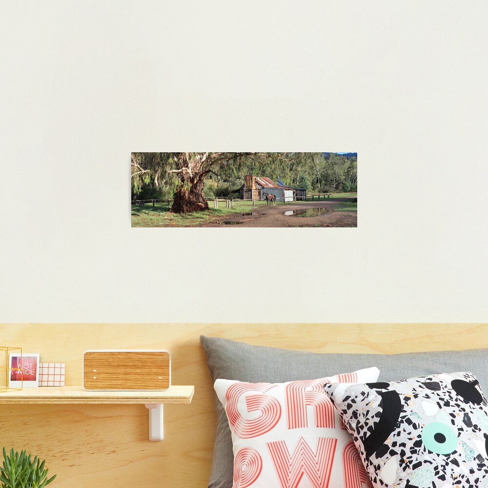 Frys Hut, Howqua Hills, Australia Photographic Print