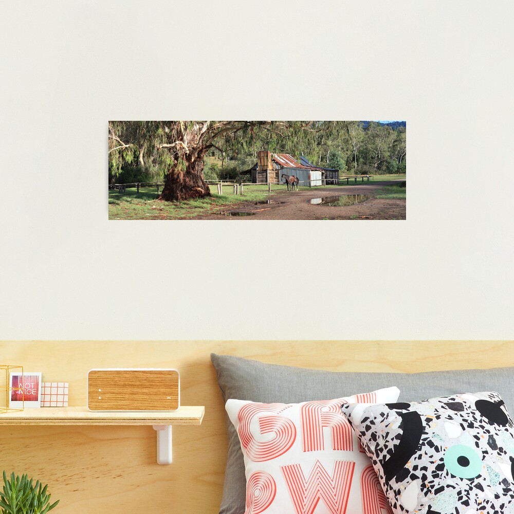Frys Hut, Howqua Hills, Australia Photographic Print