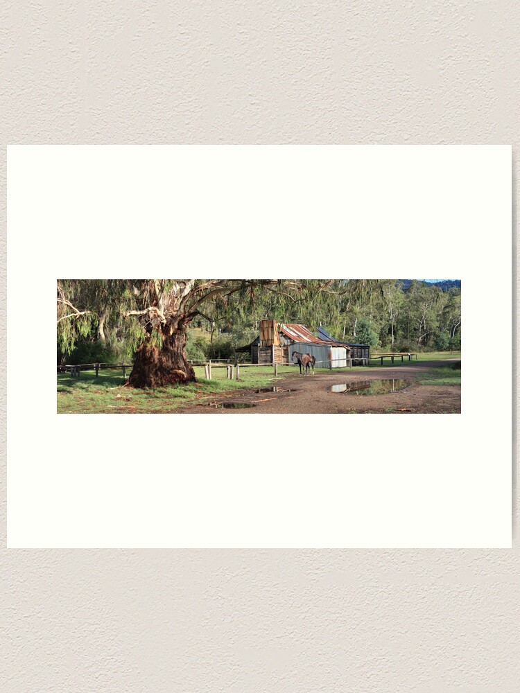 Alternate view of Frys Hut, Howqua Hills, Australia Art Print