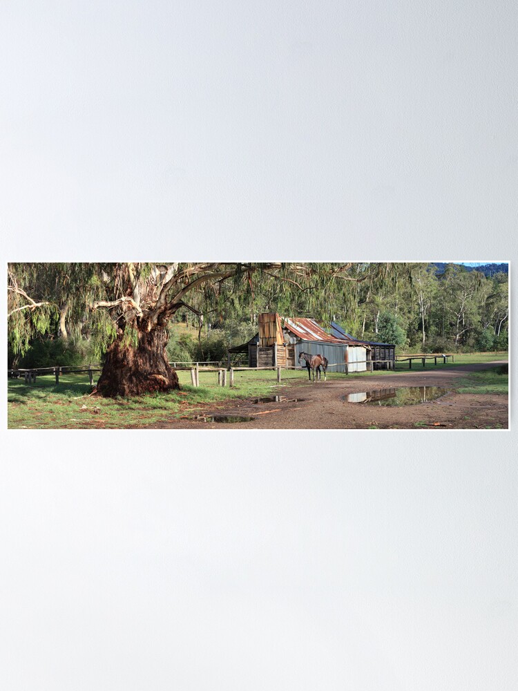 Alternate view of Frys Hut, Howqua Hills, Australia Poster