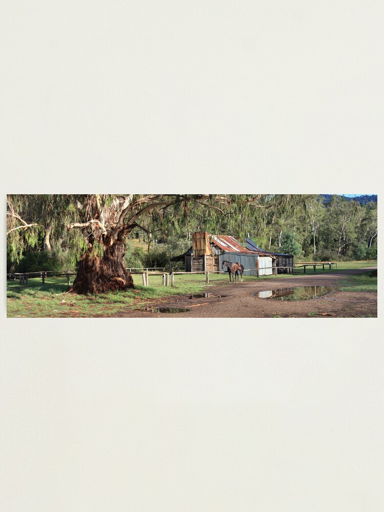 Alternate view of Frys Hut, Howqua Hills, Australia Photographic Print