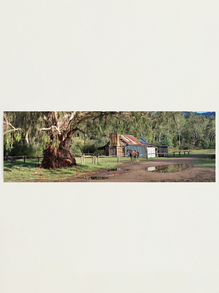 Alternate view of Frys Hut, Howqua Hills, Australia Photographic Print