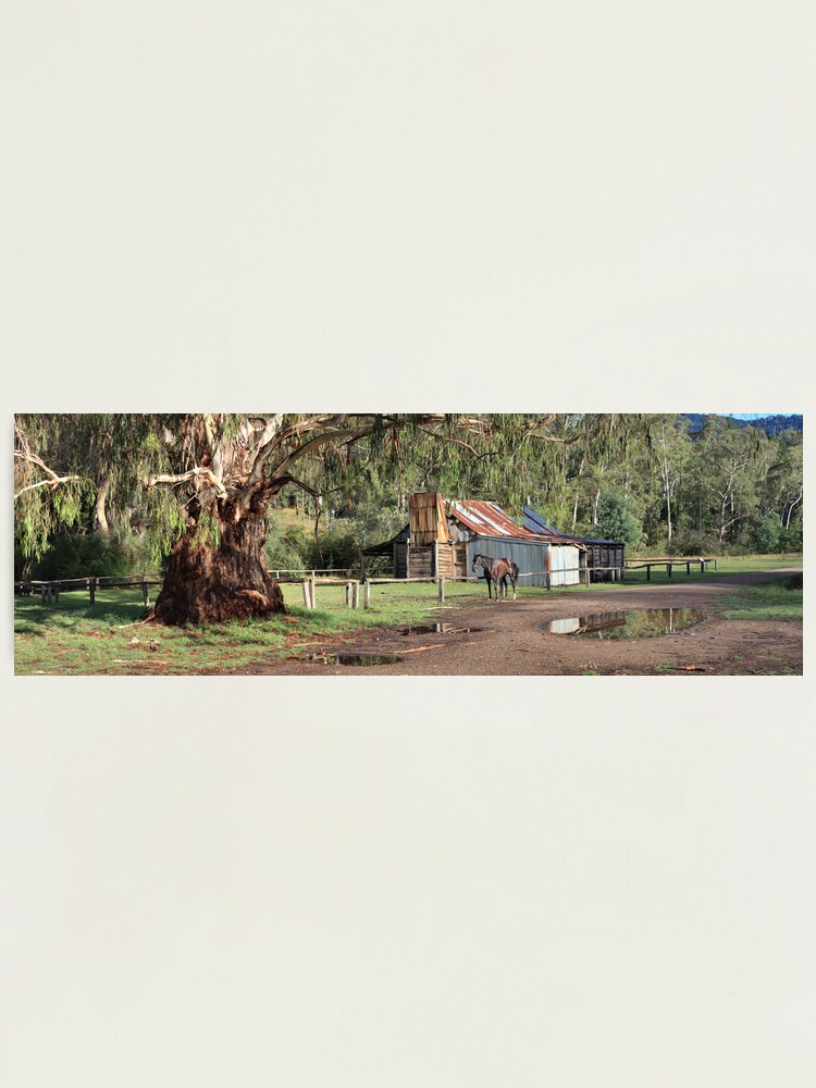 Alternate view of Frys Hut, Howqua Hills, Australia Photographic Print