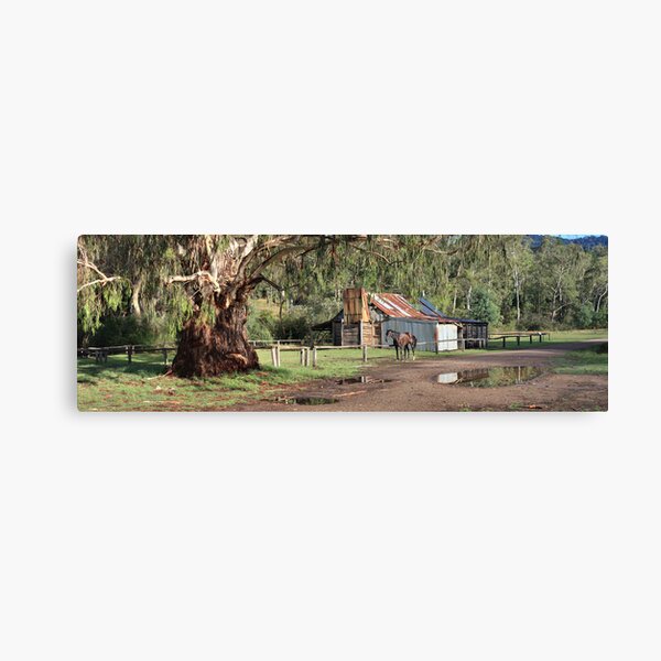 Frys Hut, Howqua Hills, Australia Canvas Print