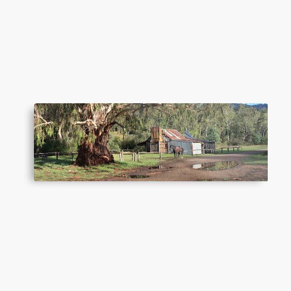 Frys Hut, Howqua Hills, Australia Metal Print