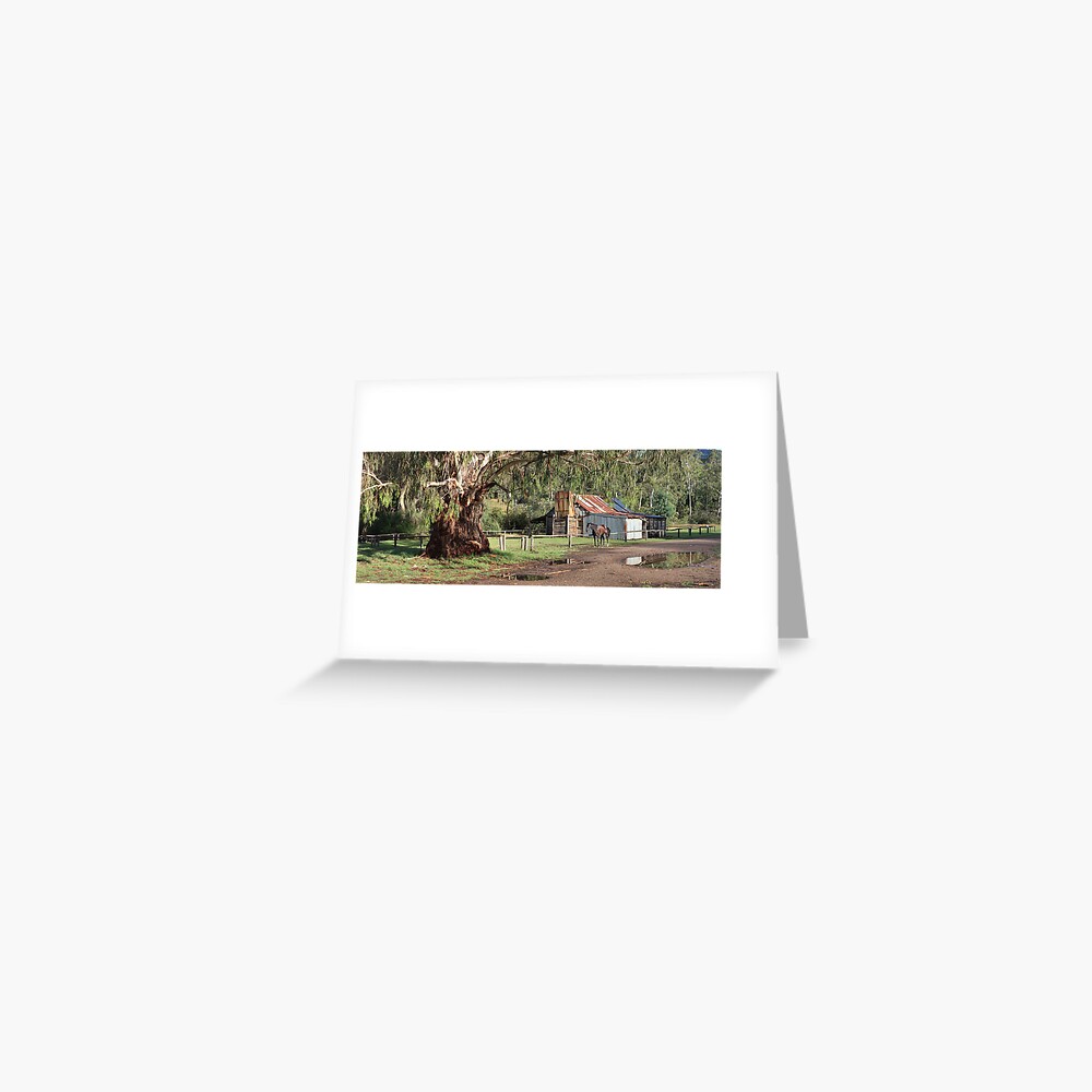 Frys Hut, Howqua Hills, Australia Greeting Card