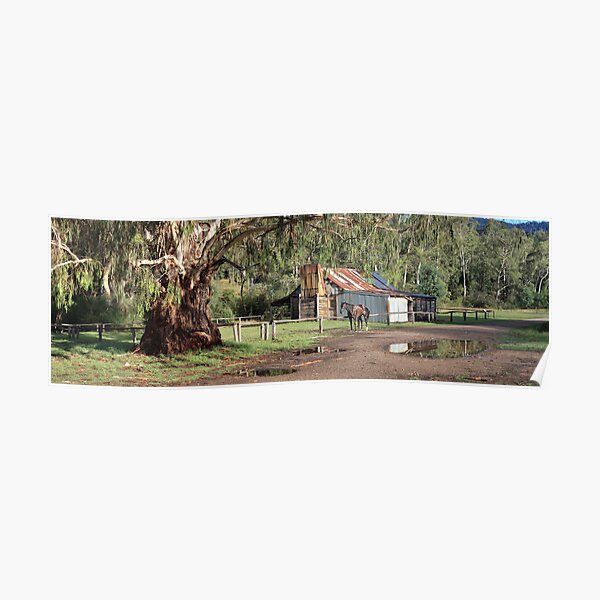 Frys Hut, Howqua Hills, Australia Poster