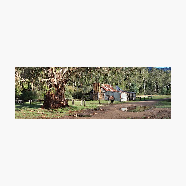Frys Hut, Howqua Hills, Australia Photographic Print