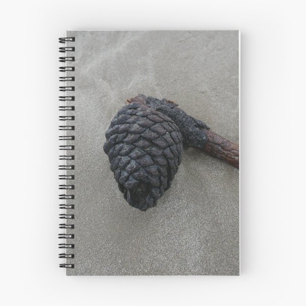 Item preview, Beachcomber designed and sold by pierredubrelle.