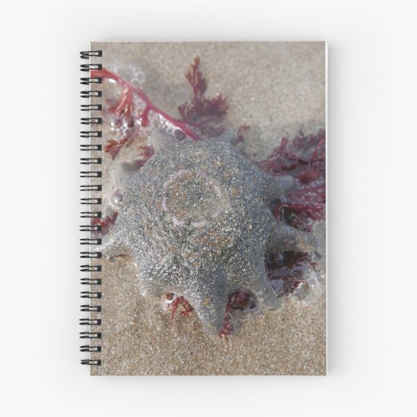 Item preview, Sea Jelly designed and sold by pierredubrelle.