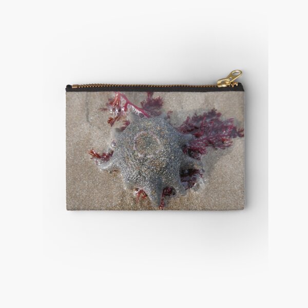 Item preview, Sea Jelly designed and sold by pierredubrelle.