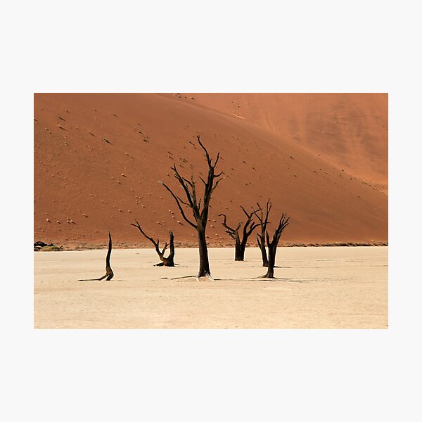 Ghosts of the Deadvlei II Photographic Print