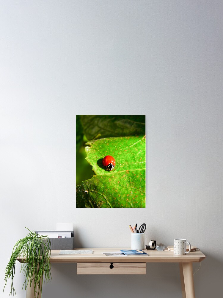 Aperçu 2 sur 3. Poster avec l'œuvre Ladybug créée et vendue par Pandrot.