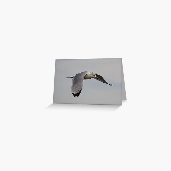 Item preview, Soaring designed and sold by Paulette1021.