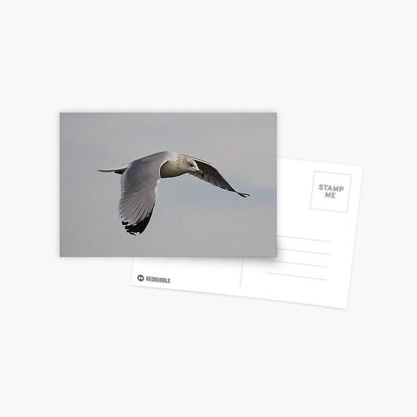 Item preview, Soaring designed and sold by Paulette1021.
