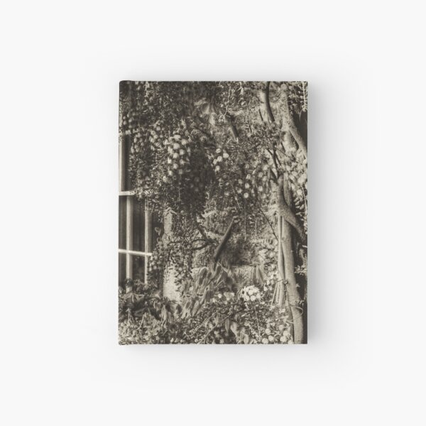 The Wisteria Window Hardcover Journal