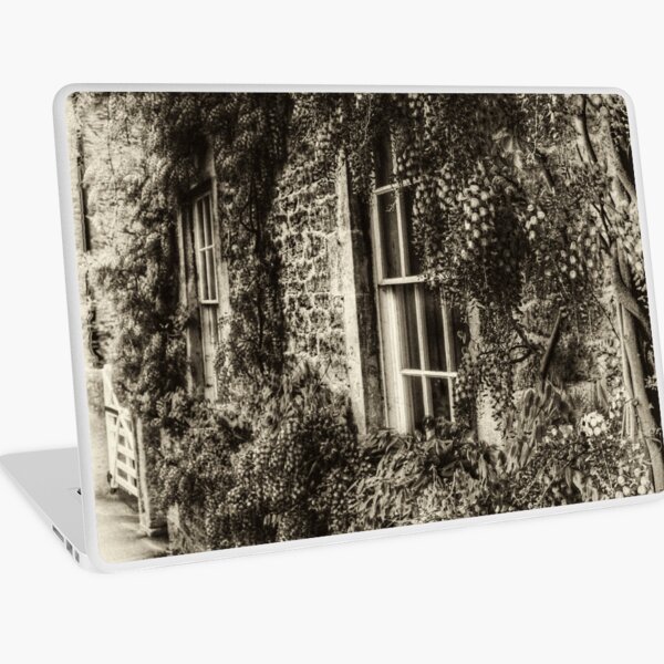 The Wisteria Window Laptop Skin