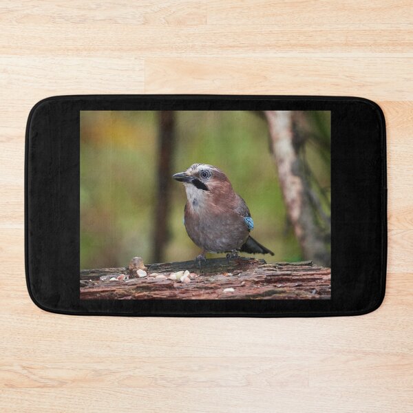 Item preview, That's peanuts said the jay. Eurasian jay designed and sold by Jouko Lehto Photography.