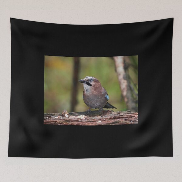 Item preview, That's peanuts said the jay. Eurasian jay designed and sold by Jouko Lehto Photography.