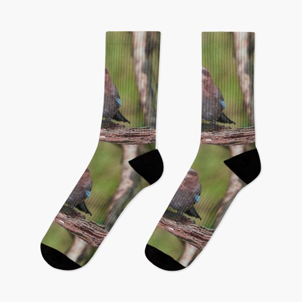 Item preview, That's peanuts said the jay. Eurasian jay designed and sold by Jouko Lehto Photography.