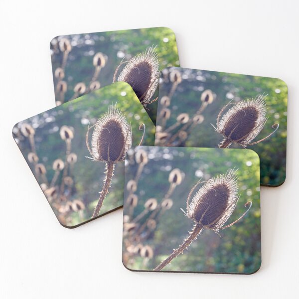 Item preview, Teasel flower in Autumn  designed and sold by steveball.
