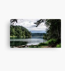 Paradise Cove Canvas Print