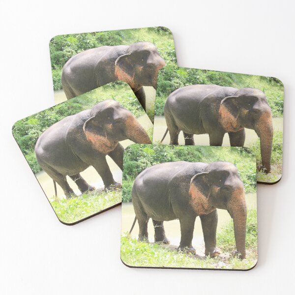 Item preview, Asian elephant in Phuket, Thailand designed and sold by Kirsten Covington.