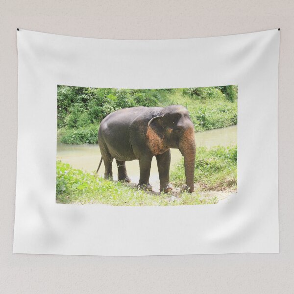Item preview, Asian elephant in Phuket, Thailand designed and sold by Kirsten Covington.