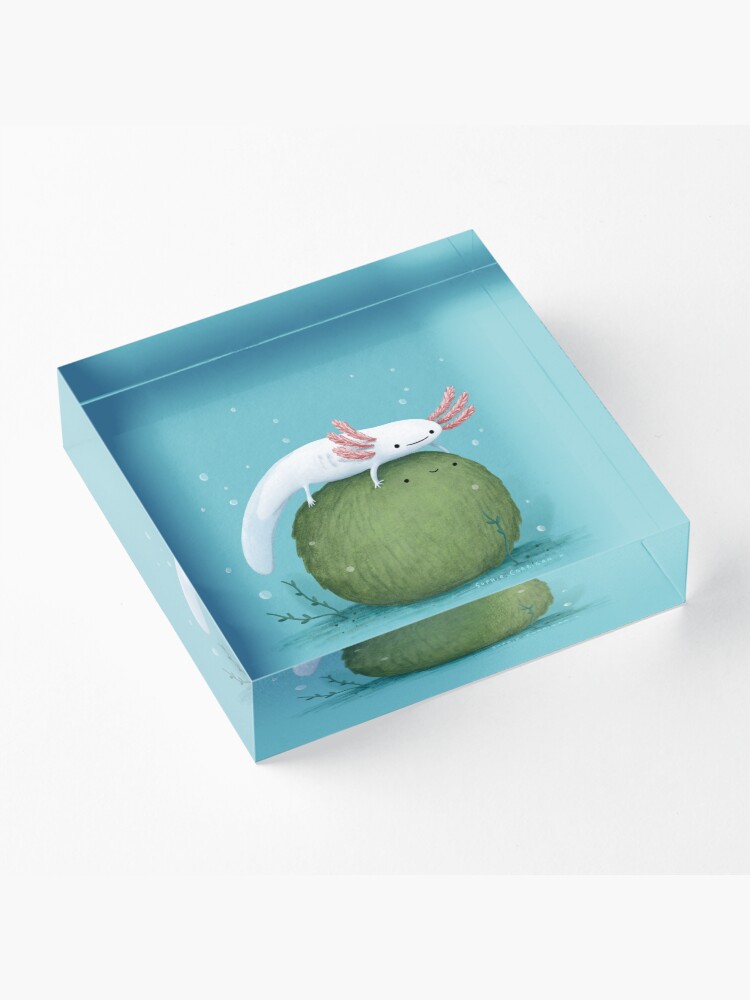 Alternate view of Axolotl on a Mossball Acrylic Block