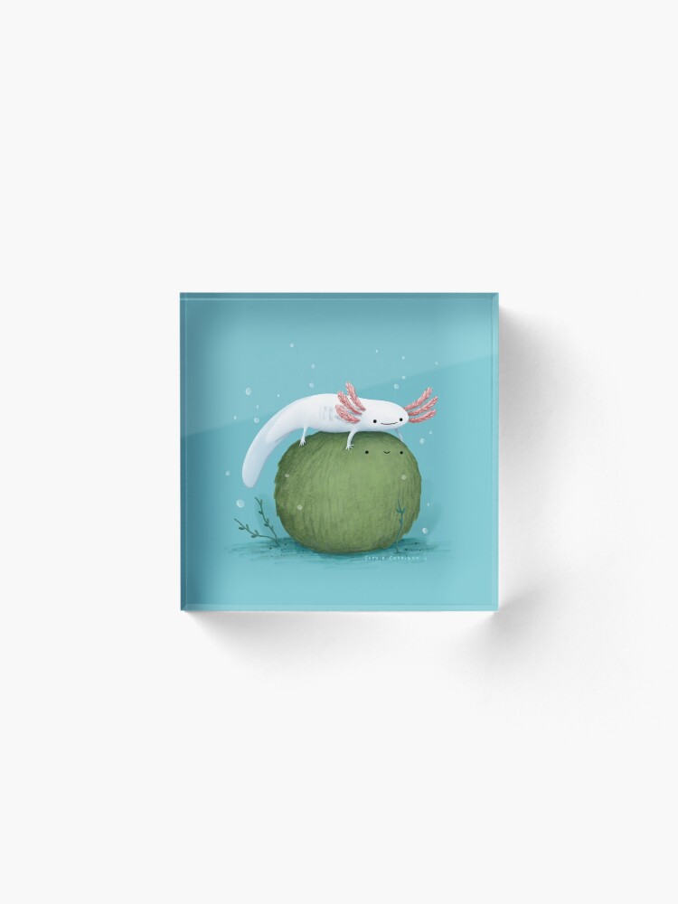 Alternate view of Axolotl on a Mossball Acrylic Block